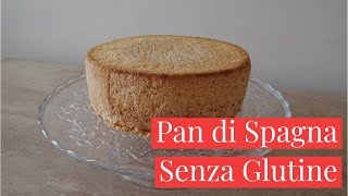 PAN DI SPAGNA SENZA GLUTINE  Ricetta facile e veloce  Tasty Diana [upl. by Sedberry]