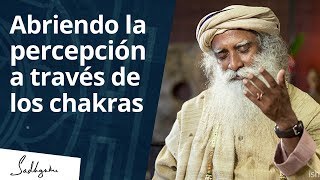 Abriendo la percepción a través de los chakras  Sadhguru [upl. by Marou]