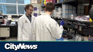 UCalgary develops tool to diagnose genetic mutations [upl. by Yatnohs]