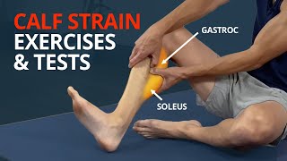 Calf Strain Rehab Exercises and Tests Gastrocnemius or Soleus [upl. by Bourke]