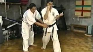 Technique kyokushin  Ryu Narushima [upl. by Taima614]