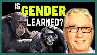 What Primatology Says About Gender Differences  Dr Frans de Waal [upl. by Ellesirg882]