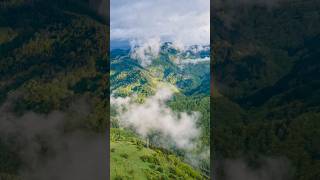 Диви мъгли от РодопитеWild mists from the Rhodopes [upl. by Adroj]