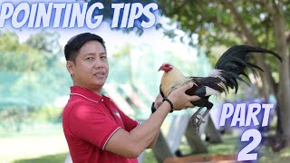 Part 2 Pointing Tips  Mga Maling Gawain Sa Araw Ng Laban [upl. by Suu]