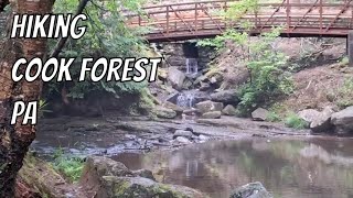 Hiking Cook Forest State Park PA Forest Cathedral Natural Area [upl. by Enilamme]