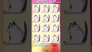 Gato Chorando humor funny cute funnycute quiz adivinhe funnymeme [upl. by Atival]