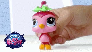 Littlest Pet Shop  Bobble Toys [upl. by Odoric]