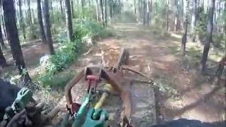 Tree Cutter Clearing Between Planted Pines [upl. by Edals]