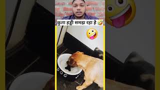 Kutta mans samjh raha h pani me shorts shortvideo trending viralvideo comedy youtube [upl. by Aramanta]