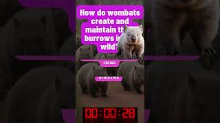 🐾 Wombat Wonders Test Your Wombat Knowledge with Our Quiz [upl. by Azile]