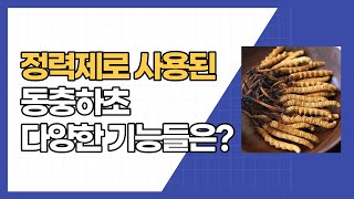 ENGSUB자막정력제와 자양강장제로 사용된 동충하초의 다양한 기능들은 [upl. by Einnob811]