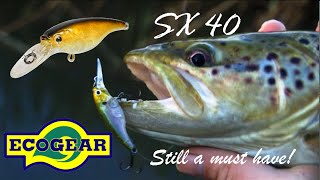 Trout on EcoGear SX40 [upl. by Atikahc]