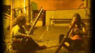 Lies Beijerinck Play didgeridoo with a sitar [upl. by Ateuqirne552]