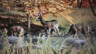 Piebald Great One Whitetail PS5  Craziest find in 900hrs [upl. by Annoed]