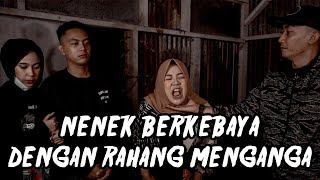 jurnalrisa 109  KERAJAAN ULAR DI LAHAN BEKAS PERTAMBANGAN Part 1 [upl. by Laurianne]