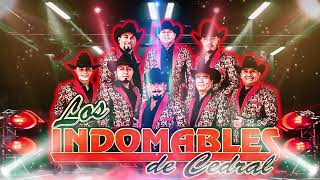 Los Mejores Indomables De Cedral Mix Norteñas de Chihuahua 2024 💖💖💖 [upl. by Ydda850]