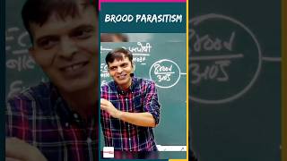 Brood Parasitism by Sunil Puniya Sir springboard shorts viral [upl. by Attevad235]