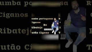 tutao cigano 2024 nova música cigana ciganos do ribatejo [upl. by Nailimixam]