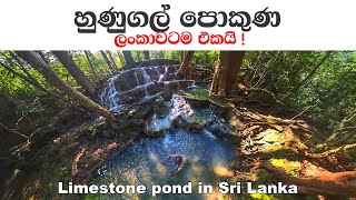 One and only limestone pond in Sri Lanka  Hunugal Pokuna  TRIP PISSO [upl. by O'Kelly]