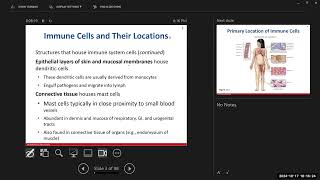 Day 12 BIO 211 720 Lecture FA2024 Immune System [upl. by Lorusso615]