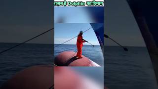 Why dolphins swim in front of ships😳🤯👀 shorts facts ytfacts ytshorts dolphins bulbousbow [upl. by Kee]