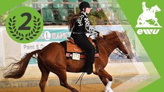 Frauke Hein  Finale FN Reining Junioren  EWU German Open 2017 [upl. by Salomi]