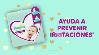 Pampers Chile  Premium Care Piel sequita y protegida toda la noche [upl. by Atiker156]