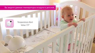 Беспроводная видеоняня iBaby Monitor M7  обзор функций [upl. by Verner474]