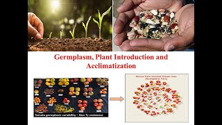 Germplasm Plant Introduction and Acclimatization Part One [upl. by Tracay]