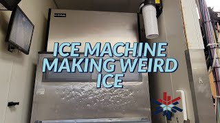 ICEOMATIC ICE MACHINE NOT WORKING [upl. by Rednijar658]