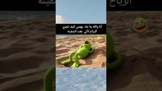 أنا والله ما عاد يهمني كيف تجري الرياح لأني بعت السفينه ههههههه 🤣 [upl. by Ahsimak753]