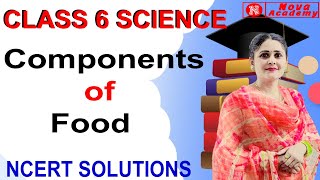 Components of Food  Class 6 Science Sprint for Final Exams  NCERT Solutions for Class 6 Science [upl. by Sparkie]