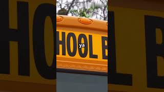 School Buses Yellow Kyun Hote Hain [upl. by Cleodel152]