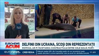 Delfinii din Ucraina scoși din spectacolele de la Delfinariul Constanța [upl. by Yetnruoc]