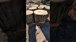 Wood Splitting Hack splittingfirewood fiskars shorts [upl. by Deeraf]