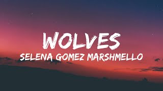 Selena Gomez Marshmello  Wolves Lyrics [upl. by Enelra]