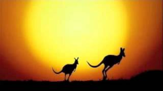 The Kangaroo Song [upl. by Robison]