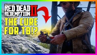 This SECRET Mission Gets Arthur A Cure For Tuberculosis amp The BEST Item In Red Dead Redemption 2 [upl. by Goldwin]