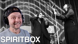 Acoustic Musician Reacts  Spiritbox  Tatiana Shmayluk of Jinjer is OUT OF THIS WORLD [upl. by Kciregor]