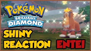 MY SHINY LUCK IS INSANE  Shiny Entei Reaction  Pokemon Brilliant Diamond and Shining Pearl [upl. by Jansson]