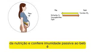 A nidação e a formação da placenta [upl. by Neale]