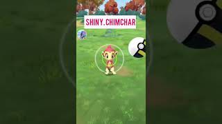 Finally catch the shiny chimchar and that too at your home🥶pokemon trendingshorts [upl. by Tiny]