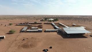 Incredible Opportunity Exceptional West Kalahari Grazing Farm for Sale [upl. by Nwahsd]