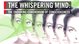 The Whispering Mind The Enduring Conundrum of Consciousness [upl. by Augustus138]