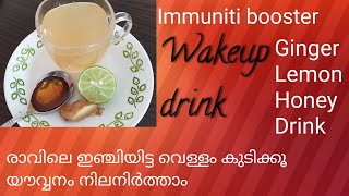 HEALTHY WAKEUP DRINK GINGER LEMON HONEY DRINK [upl. by Ardnoyek]