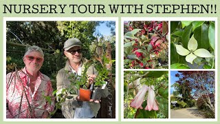 Nursery tour Stephens nursery Dicksonia Rare Plants [upl. by Verlie]