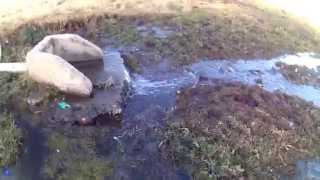 Vaal Dam Pollution Sewerage Oranjeville 20150718 [upl. by Devland254]