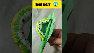 Insects Video shorts insects caterpillar [upl. by Veronike]