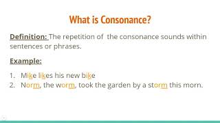 Alliteration Consonance and Assonance [upl. by Fortunna166]