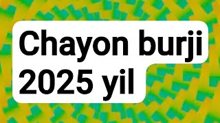 CHAYON 🦂burji 2025 yil🌻yulduzlar ruhiyatyangi yilyangi oʻyinbu juda qiziqgoroskop [upl. by Queenie442]